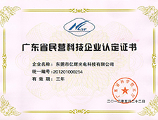 Guangdong province private scientific and technological ente